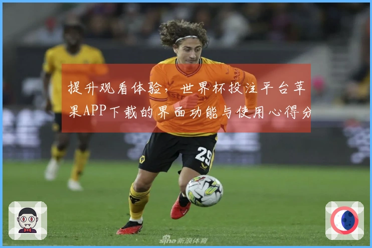提升观看体验，世界杯投注平台苹果APP下载的界面功能与使用心得分享