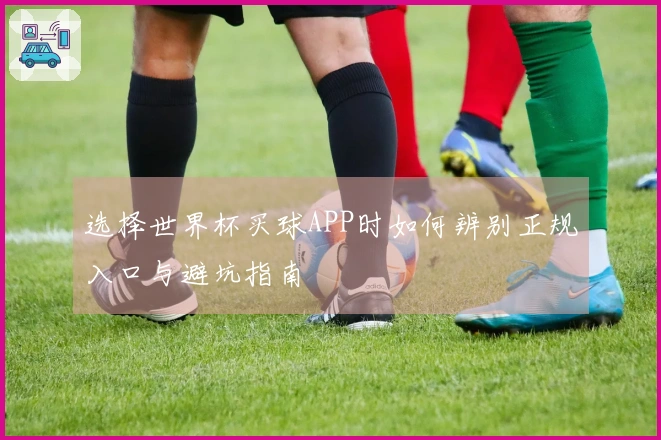 选择世界杯买球APP时如何辨别正规入口与避坑指南