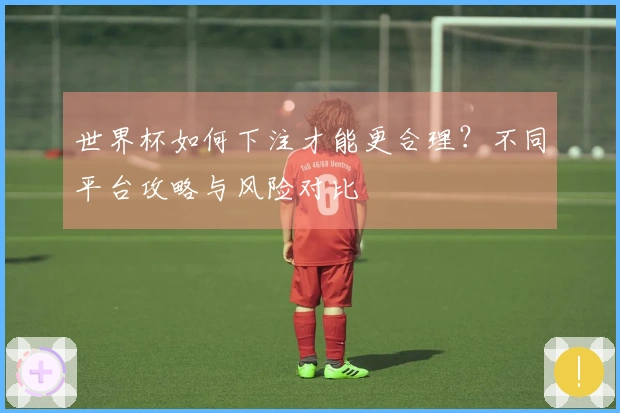 世界杯如何下注才能更合理？不同平台攻略与风险对比