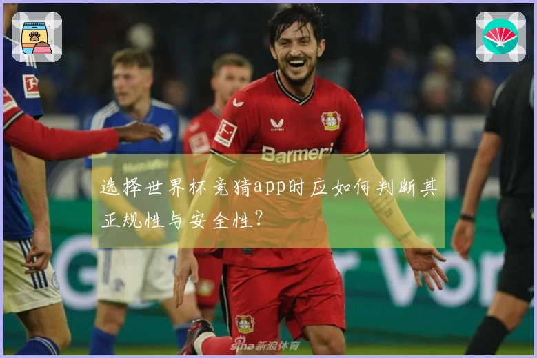 选择世界杯竞猜app时应如何判断其正规性与安全性？