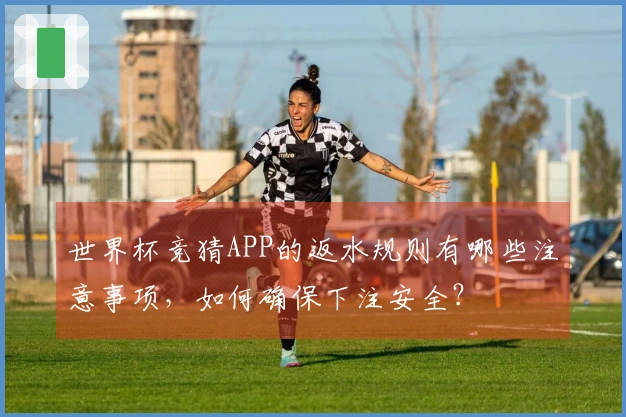 世界杯竞猜APP的返水规则有哪些注意事项，如何确保下注安全？