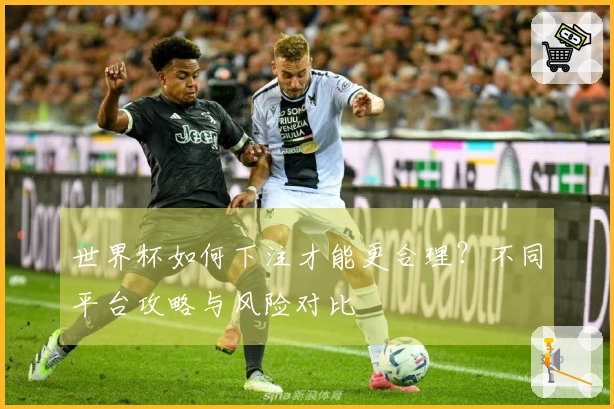 世界杯如何下注才能更合理？不同平台攻略与风险对比