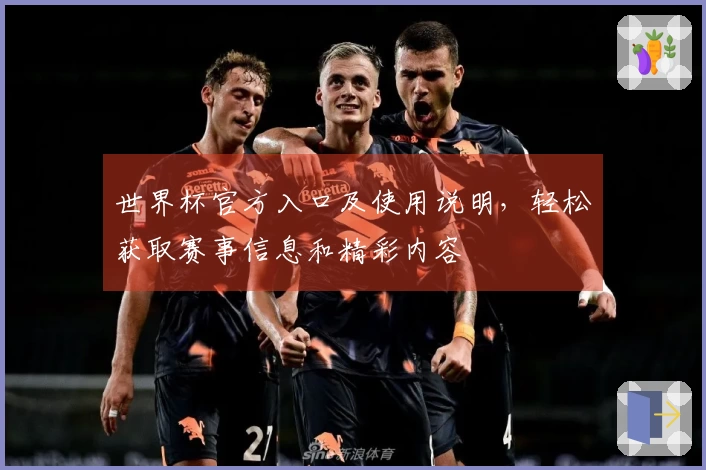 世界杯官方入口及使用说明，轻松获取赛事信息和精彩内容