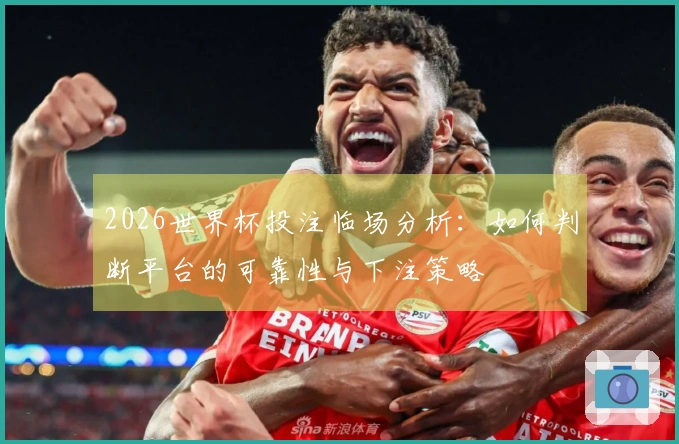 2026世界杯投注临场分析：如何判断平台的可靠性与下注策略