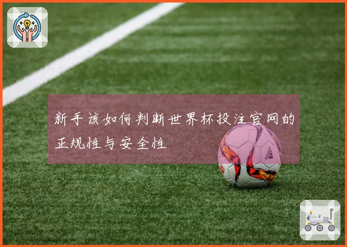 新手该如何判断世界杯投注官网的正规性与安全性