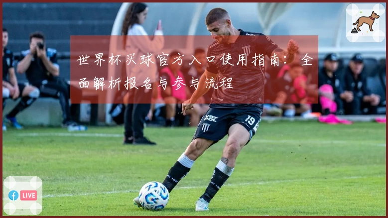世界杯买球官方入口使用指南：全面解析报名与参与流程