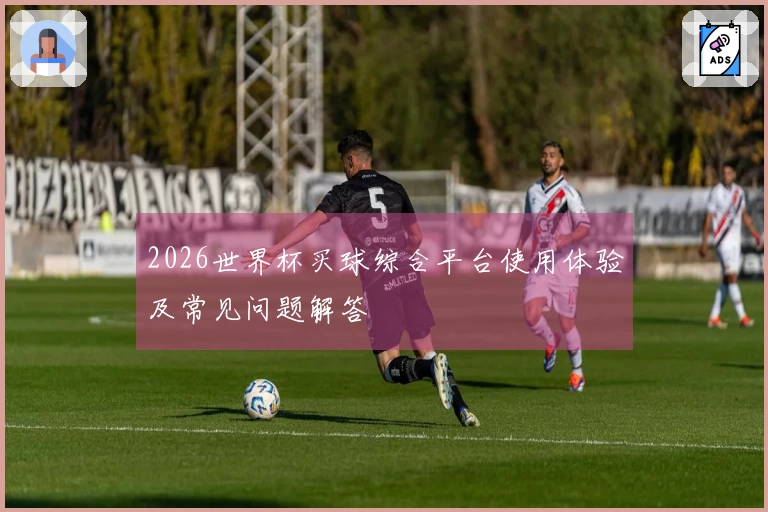 2026世界杯买球综合平台使用体验及常见问题解答