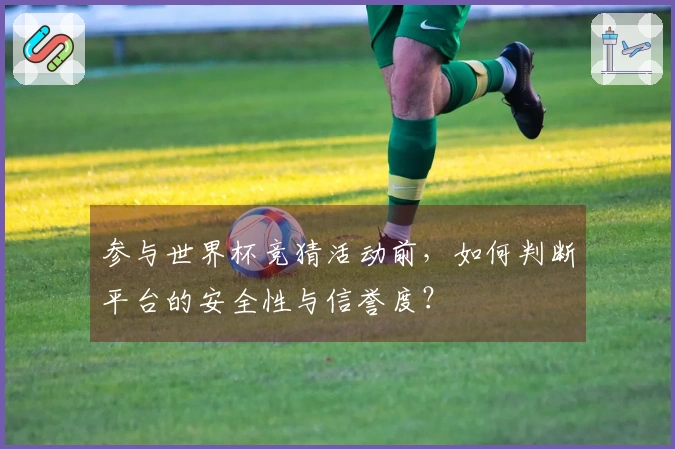 参与世界杯竞猜活动前，如何判断平台的安全性与信誉度？