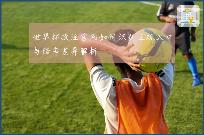 世界杯投注官网如何识别正规入口与赔率差异解析