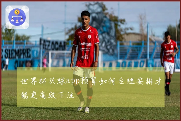 世界杯买球app预算如何合理安排才能更高效下注