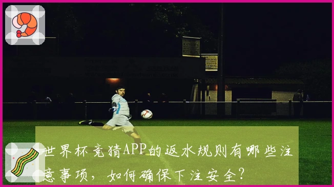 世界杯竞猜APP的返水规则有哪些注意事项，如何确保下注安全？