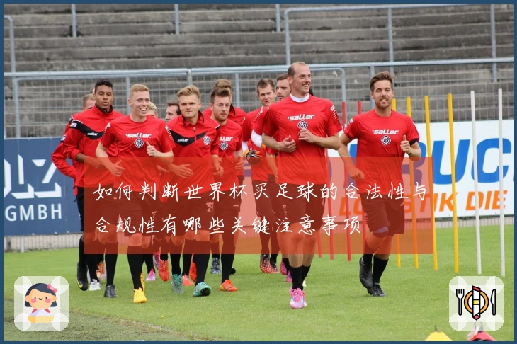 如何判断世界杯买足球的合法性与合规性有哪些关键注意事项