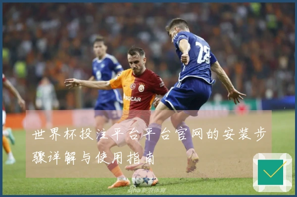 世界杯投注平台平台官网的安装步骤详解与使用指南