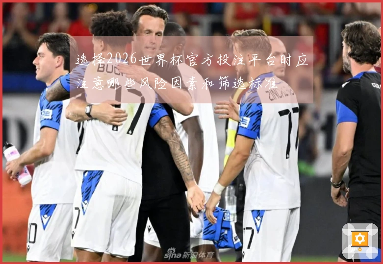 选择2026世界杯官方投注平台时应注意哪些风险因素和筛选标准