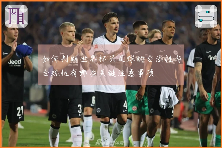 如何判断世界杯买足球的合法性与合规性有哪些关键注意事项