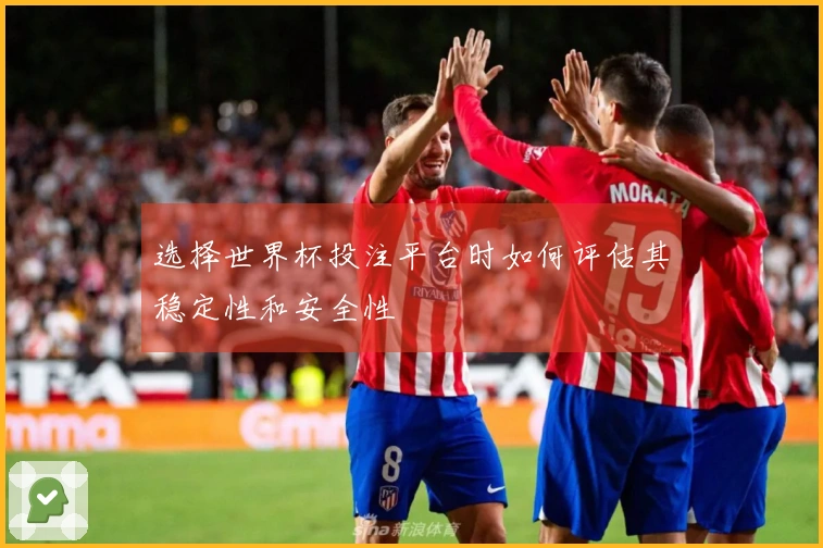 选择世界杯投注平台时如何评估其稳定性和安全性