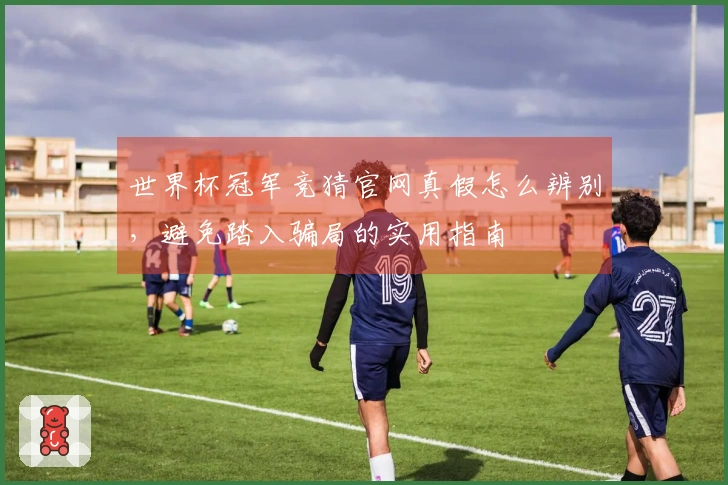 世界杯冠军竞猜官网真假怎么辨别，避免踏入骗局的实用指南