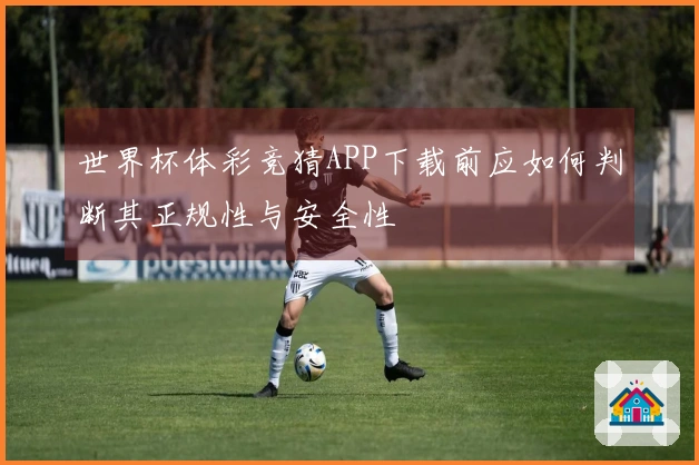 世界杯体彩竞猜APP下载前应如何判断其正规性与安全性